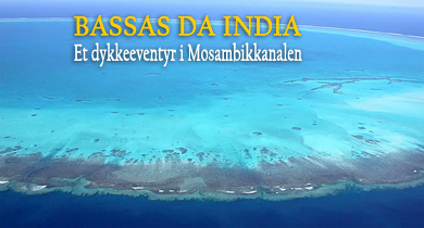 Bassas da India