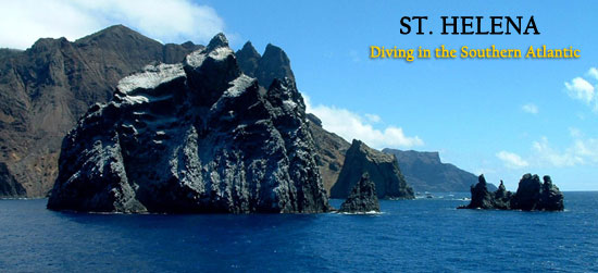 Diving Expedition to St. Helena in the South Atlantic