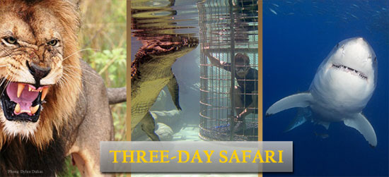 Three Day Safari near Cape Town South Africa