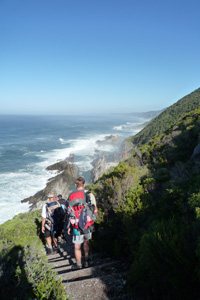 The Otter Trail runs along the coast of the Garden Route in South Africa and provides spectacular scenery all allong the trail.